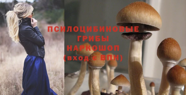 тгк Богданович