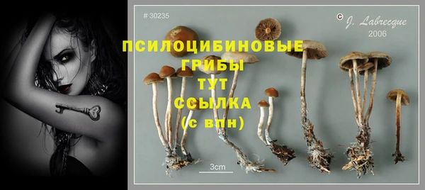 твердый Бородино