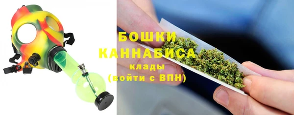 тгк Богданович