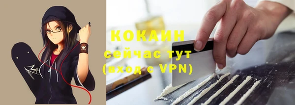 твердый Бородино