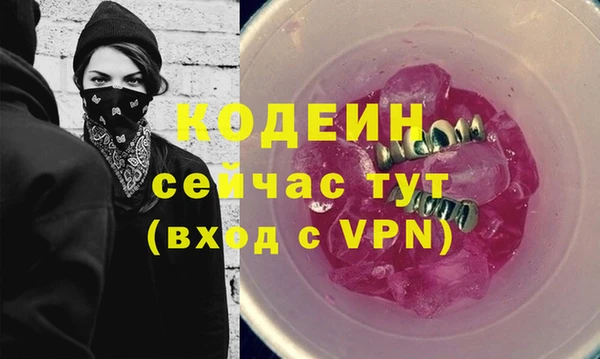 твердый Бородино