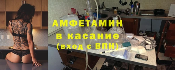 твердый Бородино
